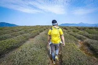 娱乐吃瓜酱徒步二十里,娱乐吃瓜酱的户外探险之旅